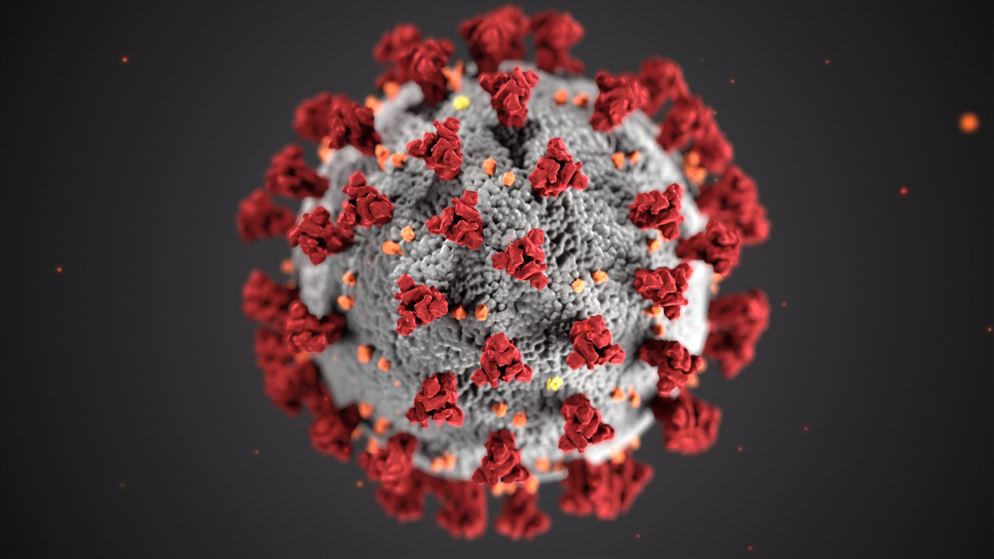 Coronavirus COVID-19 information for chronically ill patients